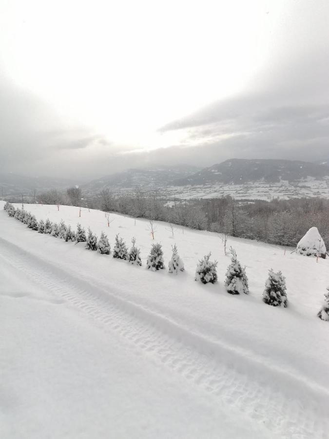 La Cabana Viseu de Jos Exteriér fotografie